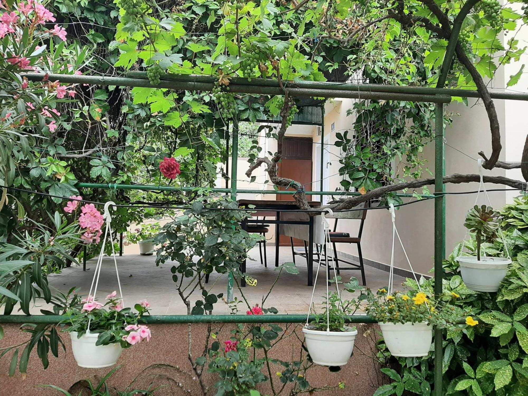 Apartmani Marija Povljana Room photo