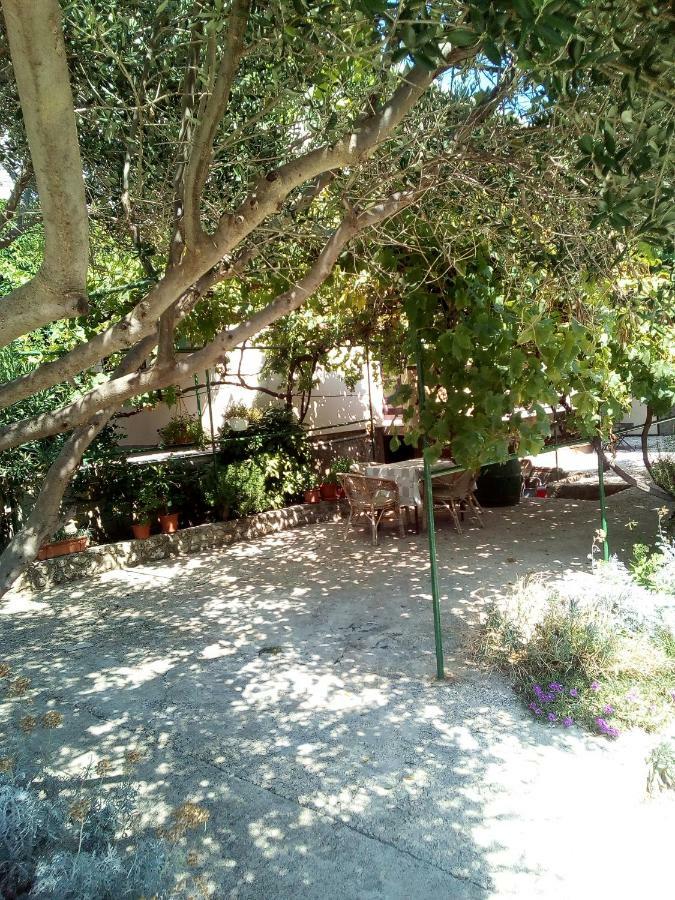Apartmani Marija Povljana Exterior photo